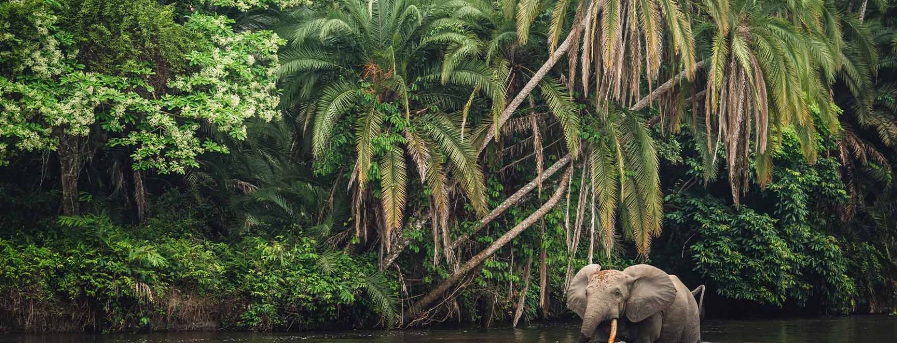Congo