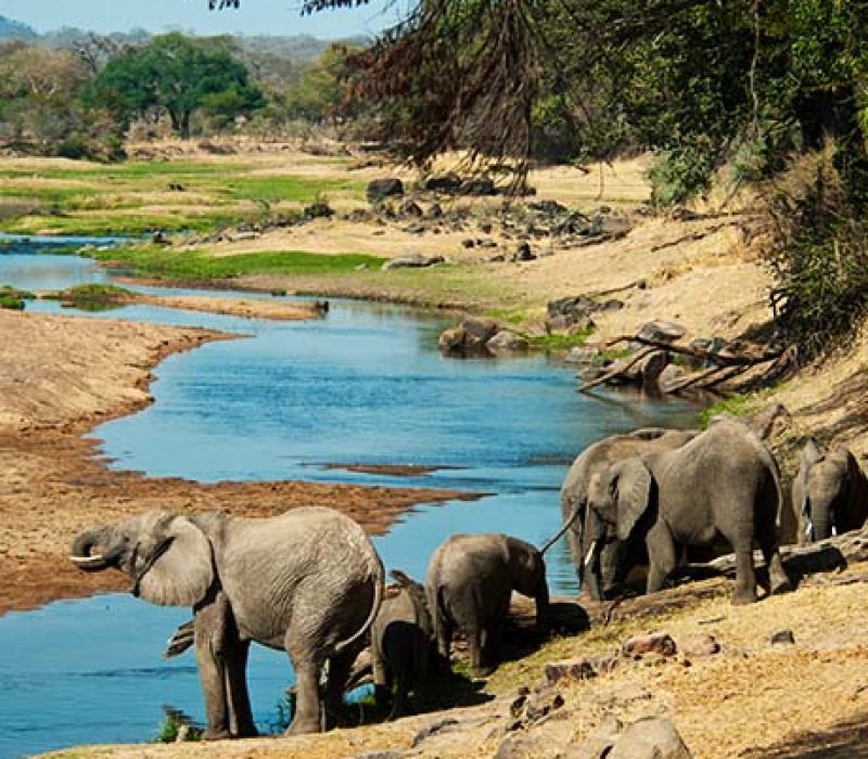 12 DAYS UNTOUCHED TANZANIA