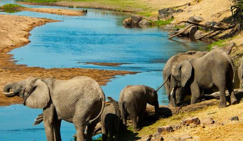 12 DAYS UNTOUCHED TANZANIA