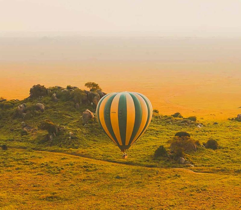 11 DAYS BEST OF TANZANIA