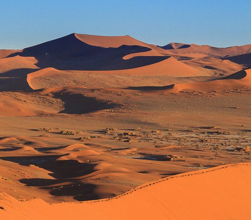 9 DAYS WINGS OVER NAMIBIA