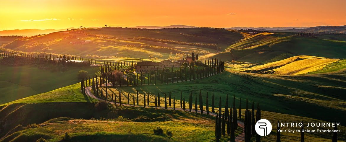 Tuscany's Wine Trail: Savouring the Flavors of the Vineyards