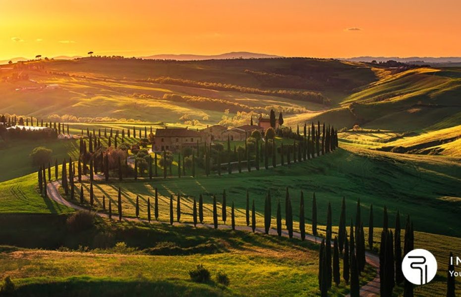 Tuscany’s Wine Trail: Savouring the Flavors of the Vineyards