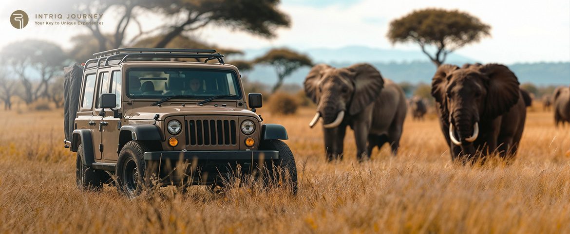 A safari vehicle positioned near elephants in the South African wilderness for wildlife photography.
