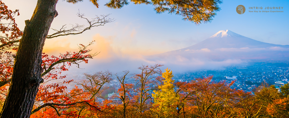 Mount Fuji landscape during fall season in Japan.