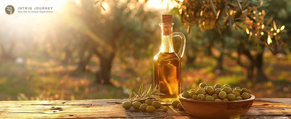 Premium olive oil tasting in a sunlit Spanish grove.