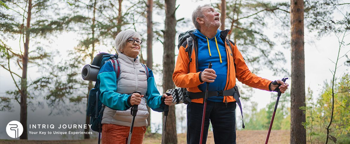 A senior couple equipped with trekking poles and professional hiking gear