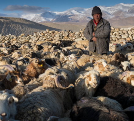 03 MAR 2027 (WED) HEMIS NATIONAL PARK