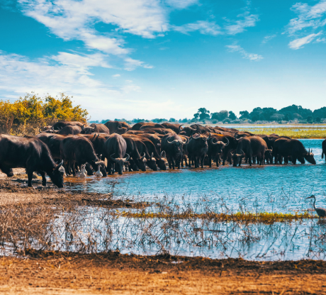 Day 4