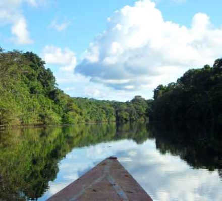 PACAYA SAMIRIA NATIONAL RESERVE