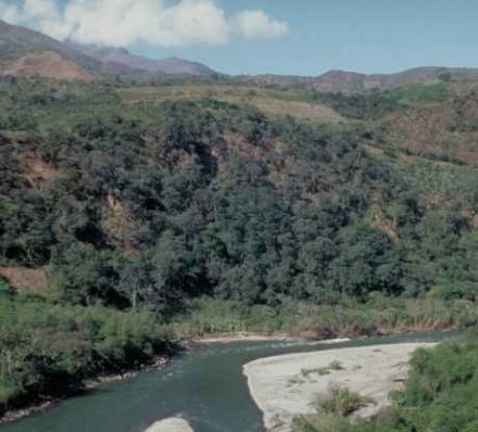 UCAYALI RIVER