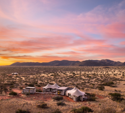 Phinda or Tswalu Kalahari